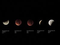 mondfinsternis  Mondfinsternis mit meiner kleinen Nikon und Stativ fotografiert