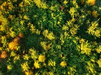 DJI 0446 7 8 klamm-felsen