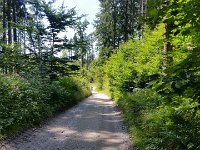 20160814 120809  Richtung Steinsee