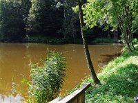 DSCN6974 2 5350x2053  Gestauter Kupferbach