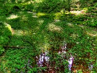 DSCN6993 4 5 Sepia-Extreme  Kleine Quellen und Seen