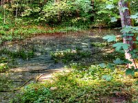 DSCN7003 4 5 temp  Kleine Quellen und Seen