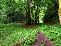 DSCF6730 1 2 Sepia-Extreme  "The Glen" ist natürlich entstanden, obwohl man sich in einem Park wähnt